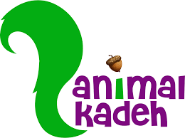 لوگوی انیمال کده